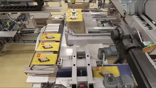 中國(guó)機(jī)械全自動(dòng)餃子生產(chǎn)線(xiàn),全機(jī)械化操作,整個(gè)工廠看不到一個(gè)人